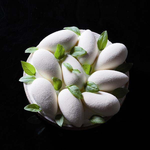 Форма силик. д/зам. и вып. "PAVOFLEX 3D Кнель округлый" 66х35мм h26мм, 34мл, 49 ячеек PX073