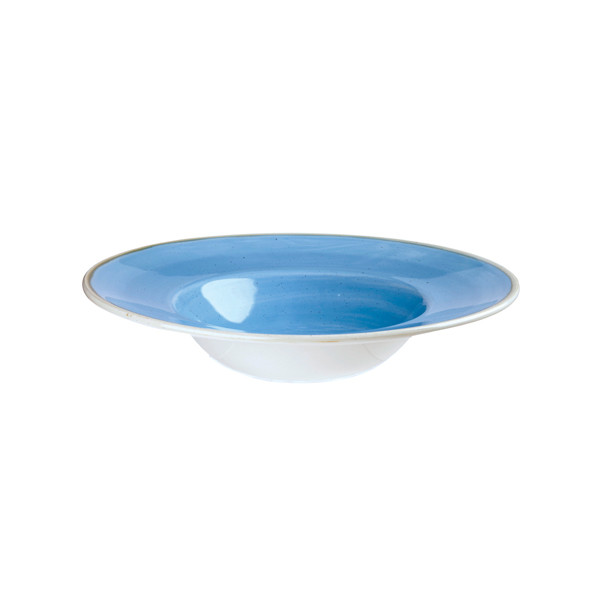 Тарелка для пасты 24см 0,28л, с широким бортом, Stonecast, цвет Cornflower Blue SCFSVWBM1 - фото 1 - id-p172808513