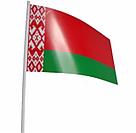 Флажки сувенирные на пластиковой палочке, фото 5