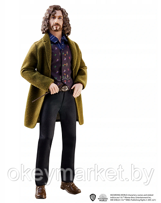 Кукла Гарри Поттер Сириус Блэк, 29см, Mattel HCJ34, фото 3