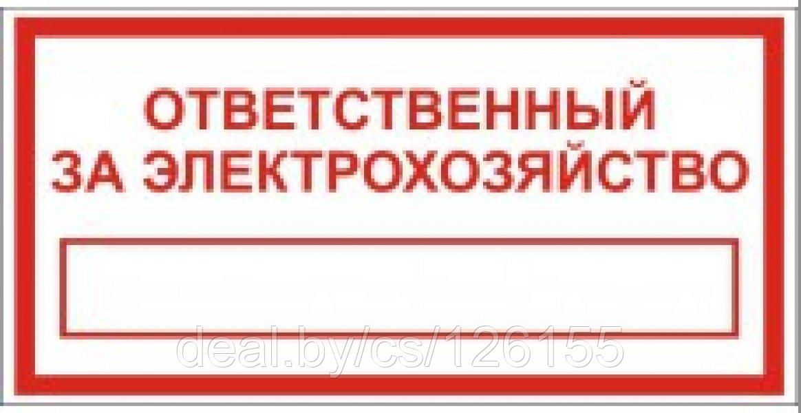 Ответственный за электрохозяйство