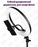 Кольцевая лампа 33 см RGB LED +Штатив 220 см +Пульт +Держатель телефона (Светодиодная лампа для селфи), фото 5