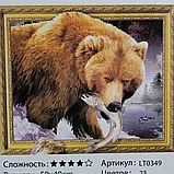 Алмазная мозаика 5Д, виды МИКС, фото 6