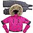 Детский зимний костюм (куртка + комбинезон) Nordtex Kids мембрана марсала (Размеры: 86, 92), фото 7