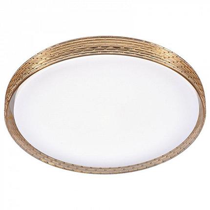 Светодиодный светильник 2095/450 WH+GD RGB, фото 2