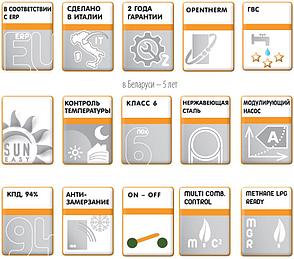 Конденсационный газовый котел Ferroli Bluehelix Maxima 28 C (двухконтурный), фото 2