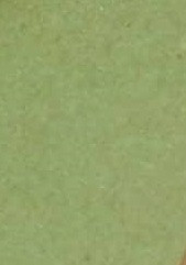 Картон TRENDY Verde пл. 355г/м2