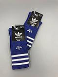 Синие носки Adidas / удлиненные носки / носки с резинкой / яркие носки, фото 3