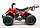 Квадроцикл GreenCamel Гоби K51 (36V 800W R7 Цепь) быстросъем, ножной тормоз, красный паук, фото 3