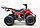 Квадроцикл GreenCamel Гоби K51 (36V 800W R7 Цепь) быстросъем, ножной тормоз, красный паук, фото 5