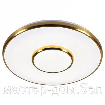 Светодиодный светильник 2096/350 WH+CR, фото 2