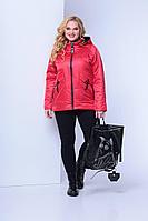 Женская осенняя красная большого размера куртка Shetti 2057-1 красный 62р.