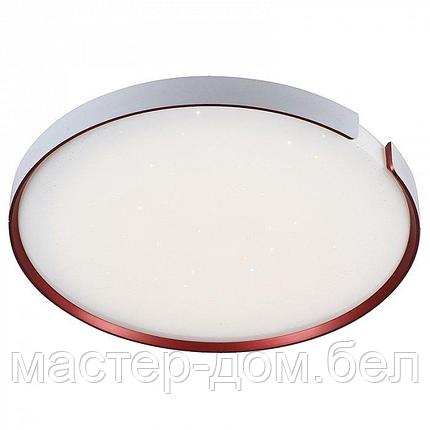 Светодиодный светильник 2140/350 WH+RD, фото 2