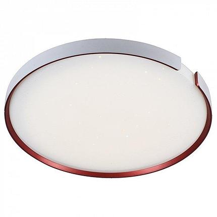 Светодиодный светильник 2140/450 WH+RD RGB, фото 2