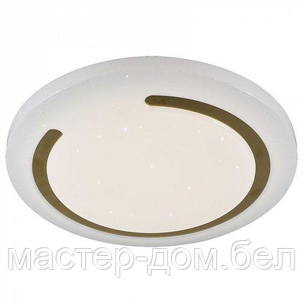Светодиодный светильник 2143/450 WH+CR, фото 2