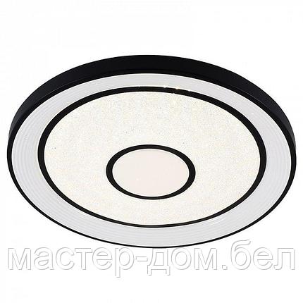 Светодиодный светильник 2149/450 WH+BK, фото 2