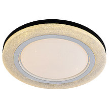 Светодиодный светильник 2162/450 WH+CR RGB, фото 3
