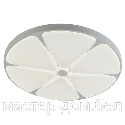 Светодиодный светильник 2169/350 WH+CR RGB, фото 2