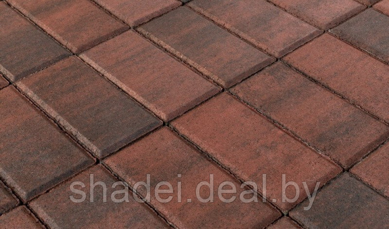 Тротуарная плитка Прямоугольник, Color Mix "Закат", 200*100*60 мм - фото 1 - id-p173154951