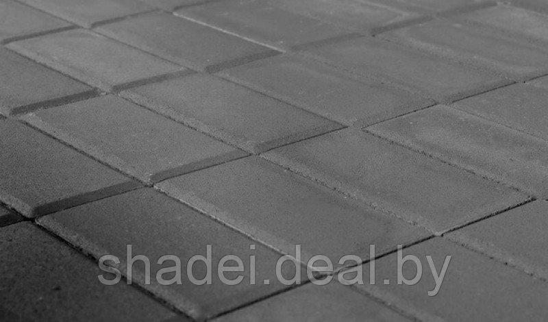 Тротуарная плитка Прямоугольник, Серый, 200*100*60 мм - фото 1 - id-p173154954