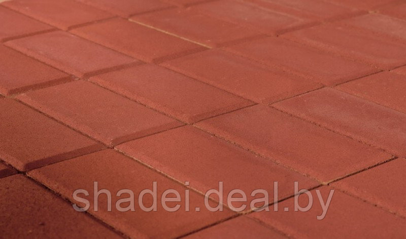 Тротуарная плитка Прямоугольник, Красный, 200*100*60 мм - фото 1 - id-p173154959