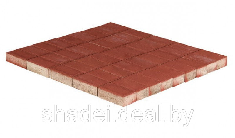 Тротуарная плитка Прямоугольник, Красный, 200*100*60 мм - фото 3 - id-p173154959