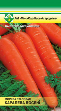 Семена Морковь Королева осени столовая (1.5 гр), МССО - фото 1 - id-p173175156