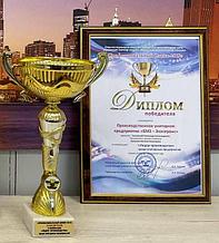 БМЗ: «Профессиональный Олимп-2019»