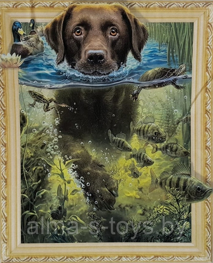 Алмазная мозаика 5Д "Собака в водоёме", 40*50,  подрамник