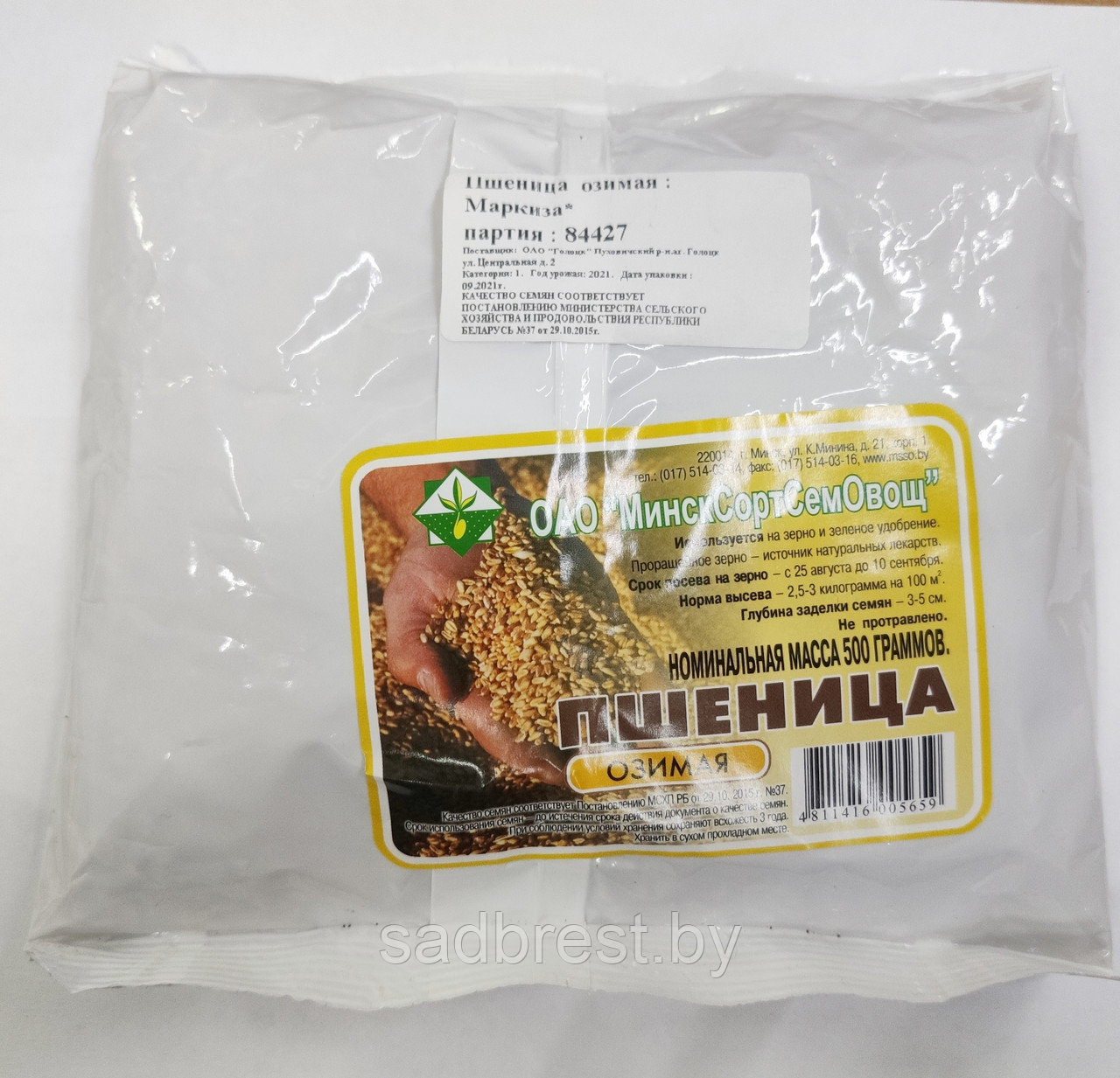 Семена Пшеница озимая сидерат (упаковка 0,5 кг) МССО - фото 1 - id-p173227961