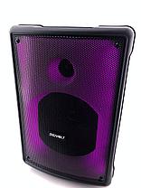 Музыкальная колонка DGVOLT DG-1102, фото 3