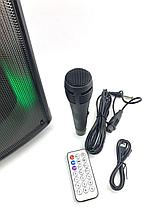 Музыкальная колонка DGVOLT DG-1102, фото 3