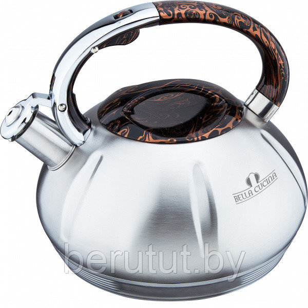 Чайник со свистком из нержавеющей стали (металлический) со свистком BELLA CUCINA BC-1045 большой 3л - фото 1 - id-p173364156