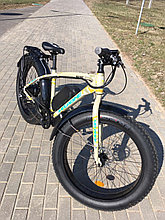 Электровелосипед Fat Bike Ti-Mount FBS 750W 2022