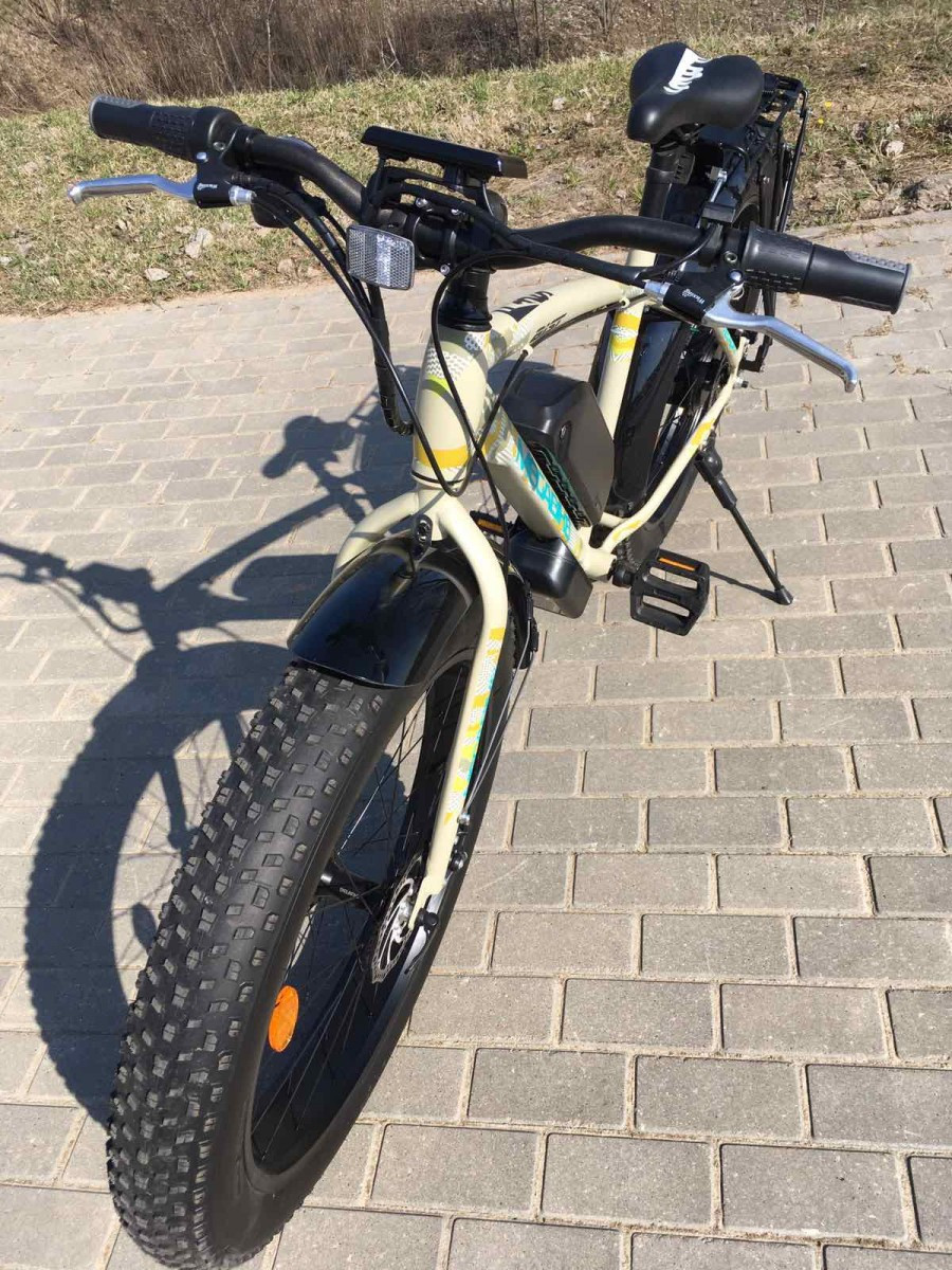 Электровелосипед Fat Bike Ti-Mount FBS 750W 2022 - фото 7 - id-p173403811
