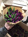 Букет из 5 тюльпанов, фото 4
