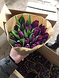 Букет из 11 тюльпанов, декоративная пленка, лента (заказ от 10 букетов), фото 2