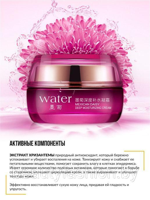 Увлажняющая маска-крем для лица с экстрактом хризантемы Water Mexican Daisy Deep Moisturizing Cream (50г) - фото 4 - id-p173417047