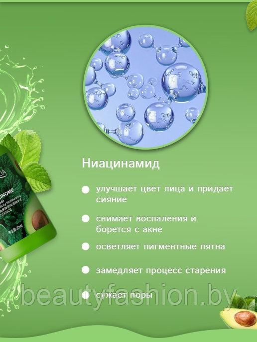 Увлажняющая сыворотка для лица с экстрактами авокадо и мяты Niacinome Avocado Elasticity Essence, 30мл Bioaqua - фото 4 - id-p173417070