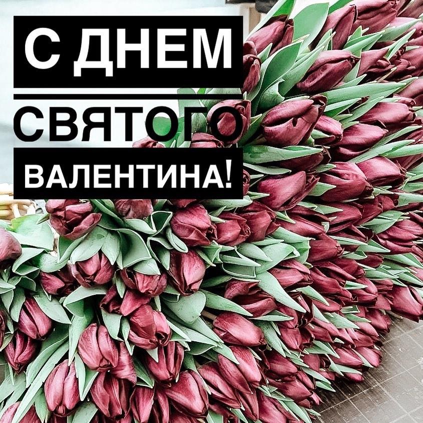 Живые тюльпаны