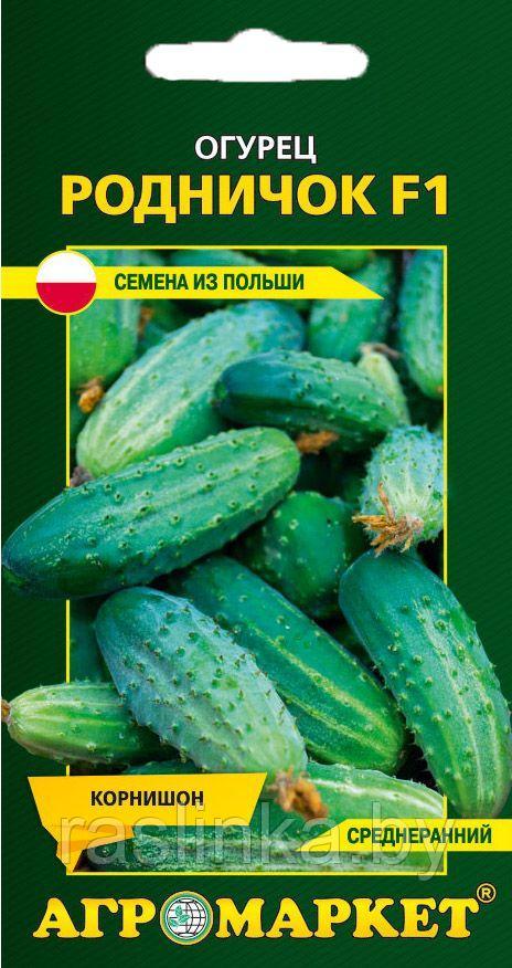 Огурец Родничок F1, 1г