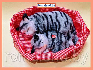 Игрушка Спящие котята на подушке, арт.SS301775/G-1