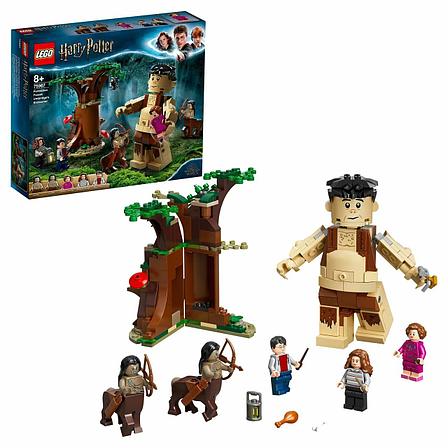 Конструктор LEGO Harry Potter Грохх и Долорес Амбридж 75967, фото 2