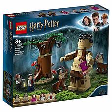 Конструктор LEGO Harry Potter Грохх и Долорес Амбридж 75967, фото 2