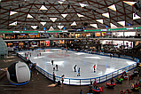 Синтетический лёд ULTRA PLAST-ICE, фото 2