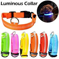 Светящийся ошейник для животных Collar LED синий, размер M