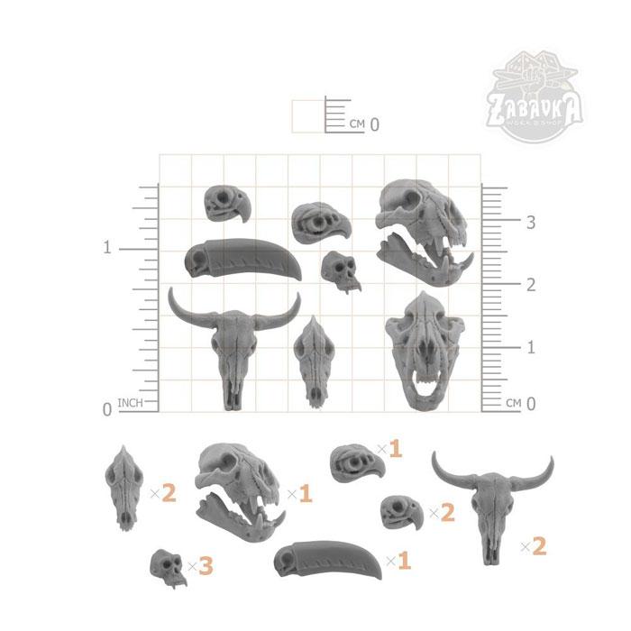 Черепа Животных / Animal Skulls 12 (Part 1) (28-32 мм) Zabavka - фото 3 - id-p173814347