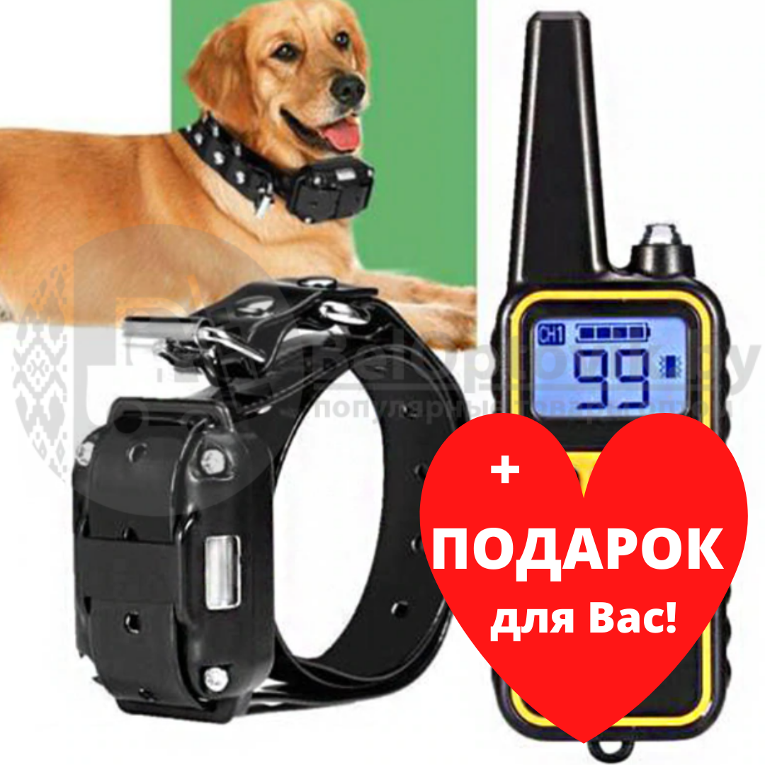 Электроошейник (до 67 см) 800м. для собак дрессировочный Rechargeable and Waterproof IP67