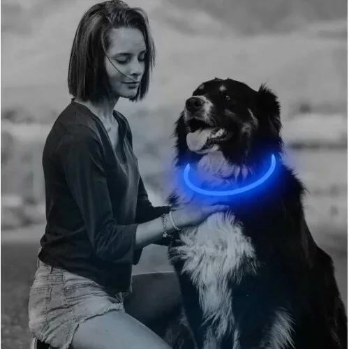 Светодиодный ошейник для собак - фото 5 - id-p173858328