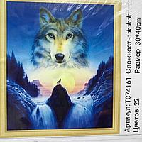 Алмазная живопись Одинокий волк 30х40 см (TC74161)